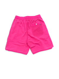 Stone Island Shadow Project Shorts